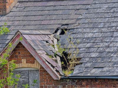 Professional water damage restoration services in Chandler